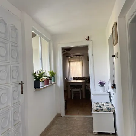 Kucerak Kraj Dunava Bukorovac