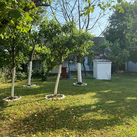 Kucerak Kraj Dunava Bukorovac