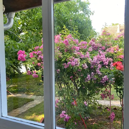 Kucerak Kraj Dunava Holiday home *