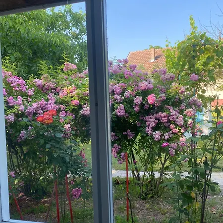 Kucerak Kraj Dunava *